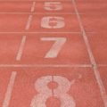 Die Rolle von Crawling und Indexierung für die Sichtbarkeit in Google & Co.