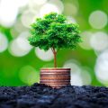 Content-Strategie 2025: Evergreen-Content als zentrales SEO-Element in Deutschland