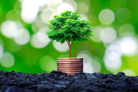 Content-Strategie 2025: Evergreen-Content als zentrales SEO-Element in Deutschland